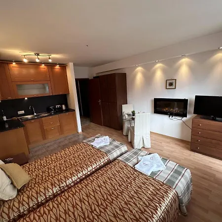 Penthouse Mountain View Lejlighed
