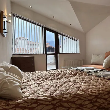 Penthouse Mountain View Lejlighed *
