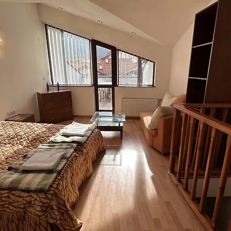 Lejlighed Penthouse Mountain View Bansko