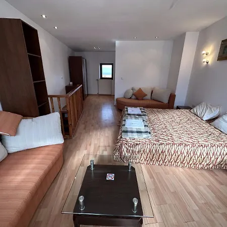 Penthouse Mountain View Lejlighed